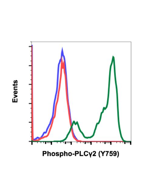 Phospho PLCg2 Y759 Recombinant MAb Abwiz Bio