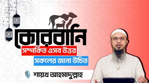 টাকা থাকার পরেও কোরবানি না দিলে কি হবে কোরবানি সম্পর্কিত এসবের উত্তর