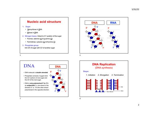 Solution Genetics Handout Studypool