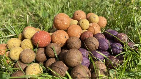 Wat Zijn De Beste Boilies In De Zomer Voor Het Karpervissen Visviews