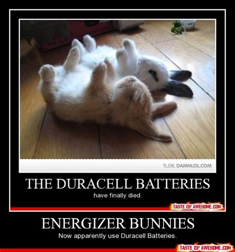 Energizer Bunny Humorous Quotes. QuotesGram