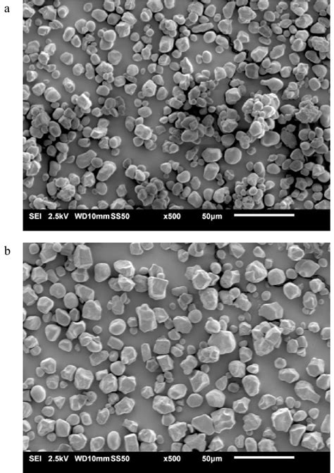 Representative SEM images of a high-amylose starch and b... | Download ...