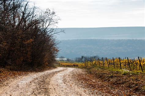 Experience a Moldova Wine Tour - These Foreign Roads