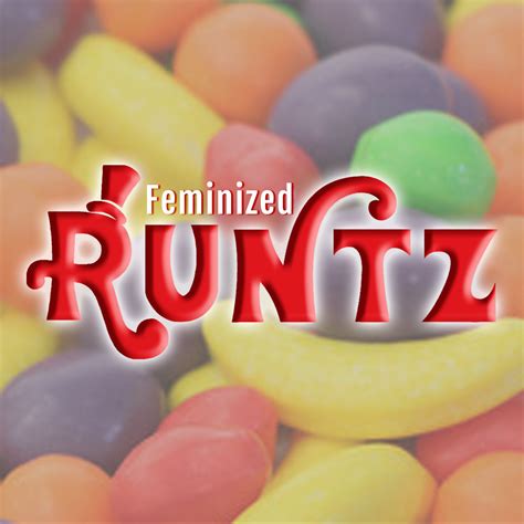 Runtz - Elev8 Seeds