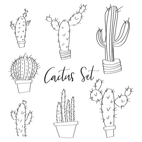 Premium Vector Hand Drawn Vector Cactus Set Doodles