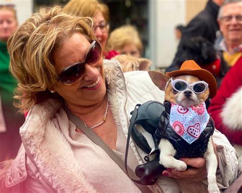 Las mascotas de València reciben su bendición de San Antonio Abad