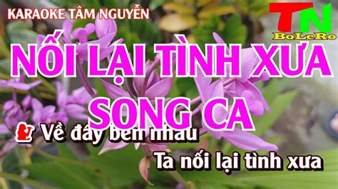 Karaoke N I L I T Nh X A Nh C S Ng Tone Song Ca Ii Beat T M Nguy N