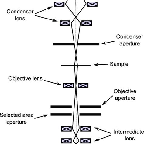 4: Transmission electron microscope schematic diagram. | Download ...