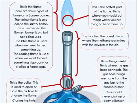 Parts Of A Bunsen Burner Labeled