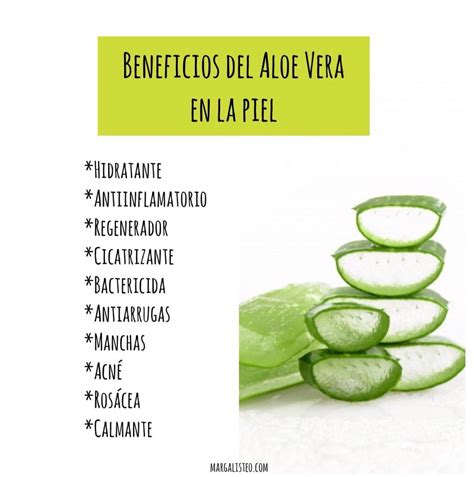 C Mo Elaborar Jugo De Aloe Vera Mar Galisteo