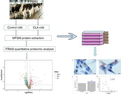 proteomic analysis  milk fat globule membranes  small sized milk
