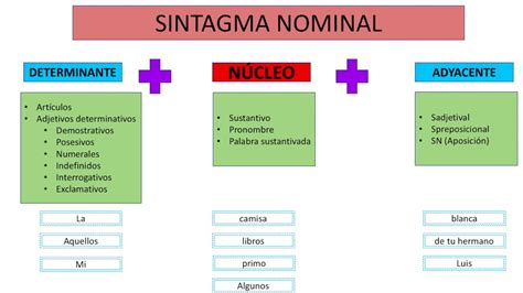 Estructura De Los Sintagmas Youtube