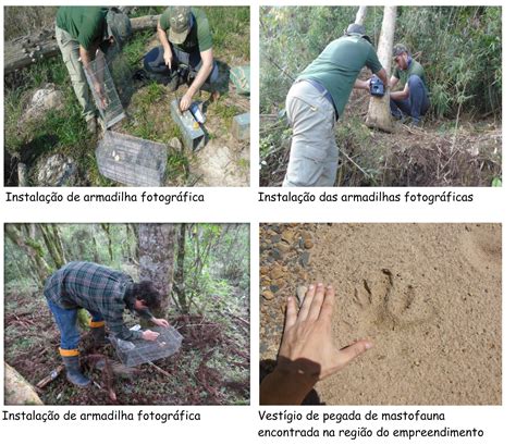 Pch Ado Popinhak Programa De Monitoramento De Fauna Terrestre