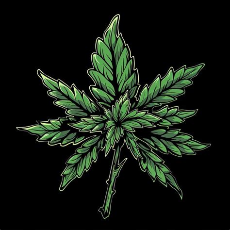 Cannabis leaf vector illustration Hand drawn cannabis leaf isolated on ...