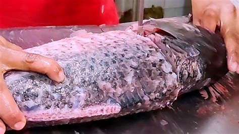 Giant Big Catla Fish Cutting Show Carp Fish Cutting By Experts Fish