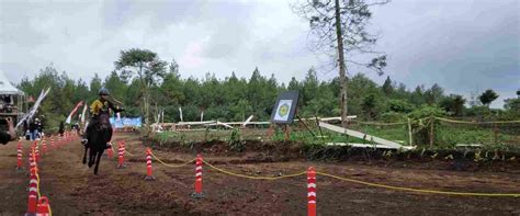 Kejuaraan Berkuda Memanah Dan Panahan Sukses Di Hutan Panderman Batu