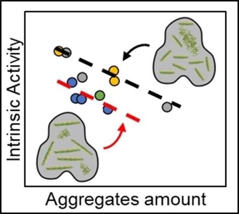 Influence Of The Ageing And Drying Steps Of A Comopγ Al2o3 Catalyst