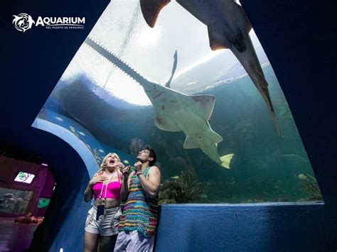 Wendy Guevara Y Emilio Osorio Se Maravillan Con El Aquarium Del Puerto