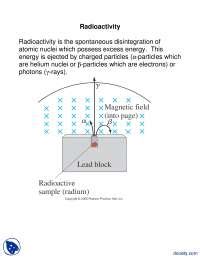 Radioactivity General Physics Lecture Notes Docsity