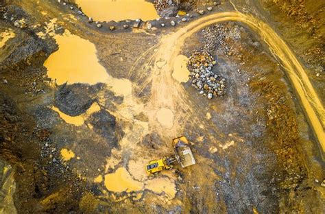 Crimen Organizado Y Crimen Ambiental Ponen En Riesgo Al Planeta