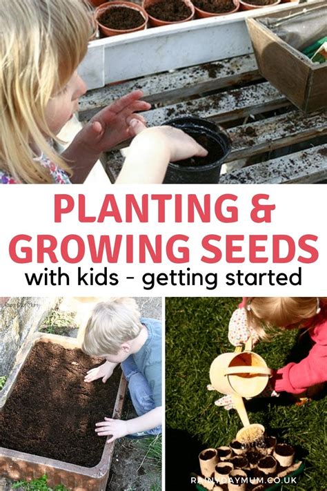 Tips For Starting Growing Seeds With Kids Rainy Day Mum