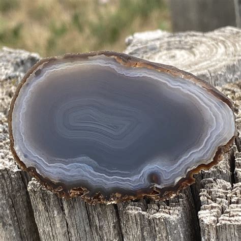 Big Blue Black Hills Fairburn Agate Gallery