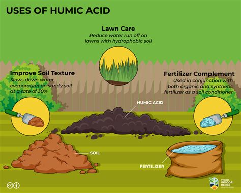 What Is Humic Acid And How To Use It Your Indoor Herbs And Garden