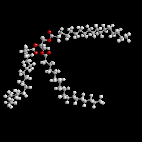 Triglycerides | Nutrition