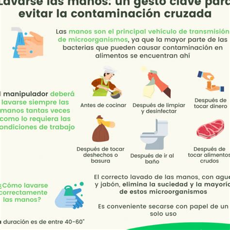 Estrategias Para Reducir La Presencia De Al Rgenos En El Hogar Arearmonia