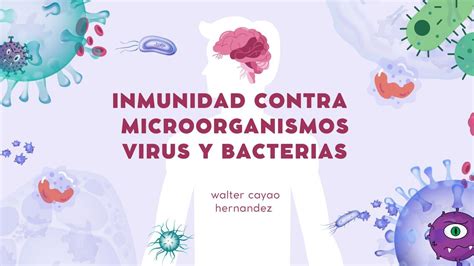 Inmunidad Contra Microorganismos Virus Y Bacterias Walter Cayao Udocz