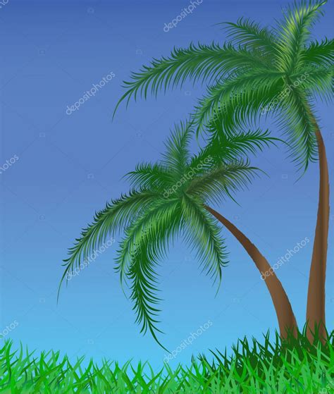 Fondo De Verano Con Palmeras Vector De Stock Por Inna Af 1731576