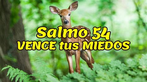 Salmo 54 Para La Ansiedad Vence Tus Miedos YouTube