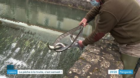 Lâcher de truite avant l ouverture de la pêche YouTube