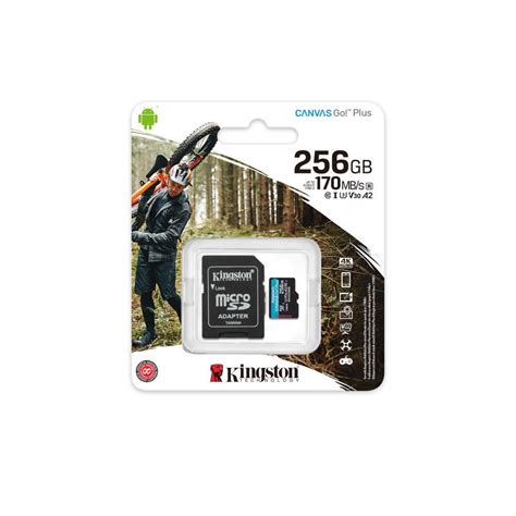 MEMORIA MICROSD KINGSTON 256GB V30 U3 CANVAS GO Plus SDCG3 256GB Zona