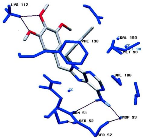 Heterocyclic Compounds As Hsp90 Inhibitors Encyclopedia Mdpi