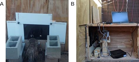 Experimental Setup Which Included A Touchscreen Equipped Operant