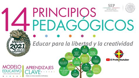 Principios Pedagogicos 14 Principios Pedagogicos Modelo Educativo