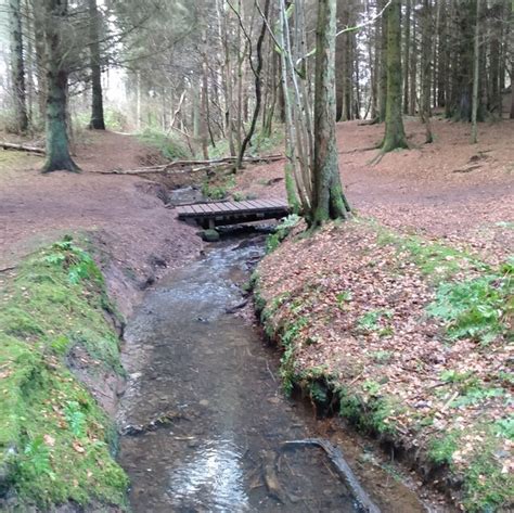 Sandy Burn Jim Smillie Geograph Britain And Ireland