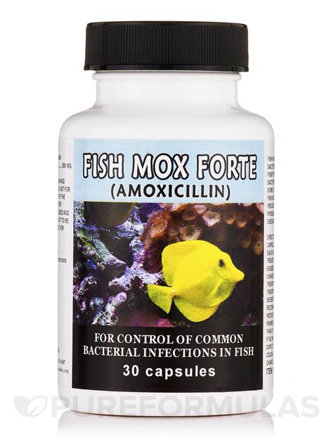 Fish Mox Forte 30 Capsules 500mg Antibacterial Agent