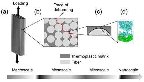 Polymers Free Full Text The Effect Of Temperature And Strain Rate