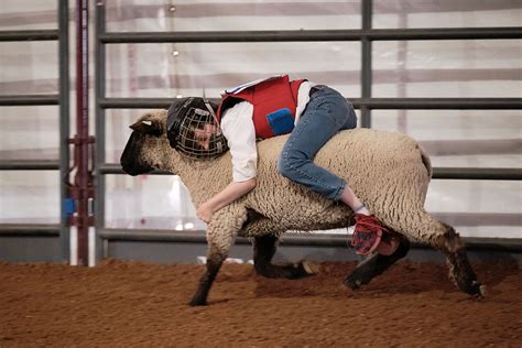 Mutton Bustin Matson Photo