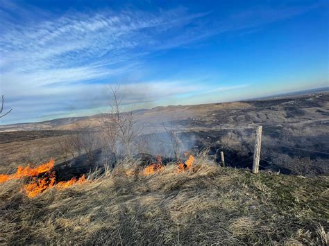 Incendiu De Vegeta Ie N Zona Soceram Din C Mpina Ziarul Incomod