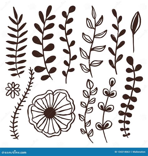 Hand Drawn Vector Leaves Decorations Floral Decorative Border Elements