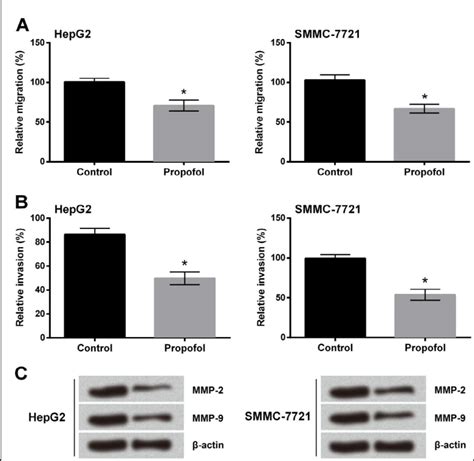 Propofol Suppresses Cell Migration And Invasion Of Hepg2 And Smmc 7721