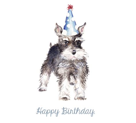 Schnauzer Dog Birthday Card, Funny Schnauzer Birthday Card, Schnauzer ...