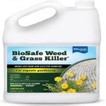 Best Weed Killer For Driveways And Gravel Expert S Review