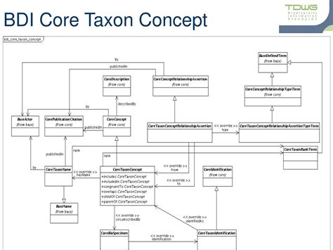 Ppt Tdwg Core Ontology Powerpoint Presentation Free Download Id