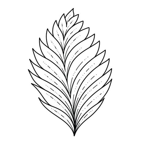 Maple Leaf Line Drawing | Free download on ClipArtMag