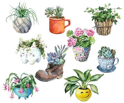 Watercolor House Plants Clipart Indoor Plant Clipart Fancy Etsy