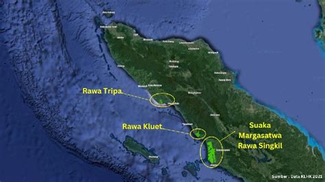 Deforestasi Di Suaka Margasatwa Rawa Singkil Penggiat Konservasi